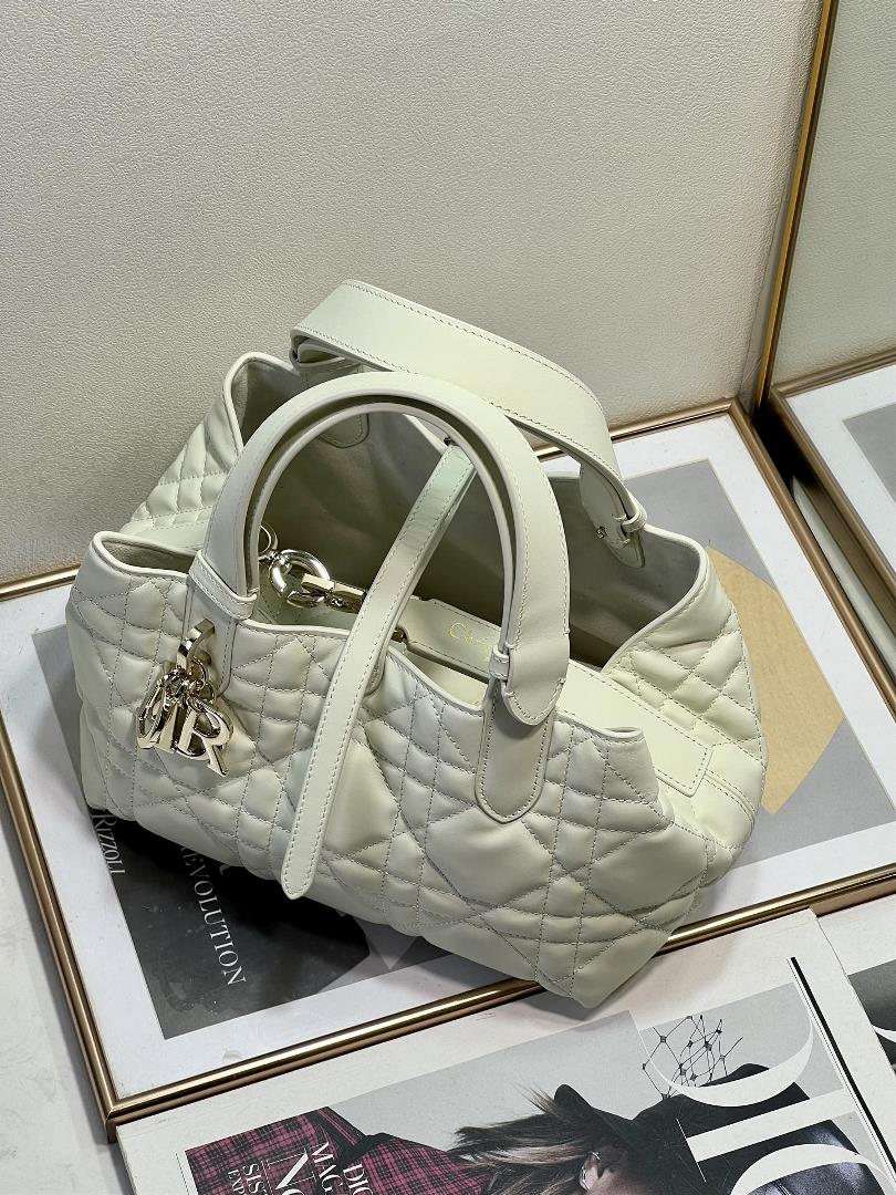 Popular 3319s Dior Toujours 2023 SpringSummer Collection 23x15x15cm  professional luxury