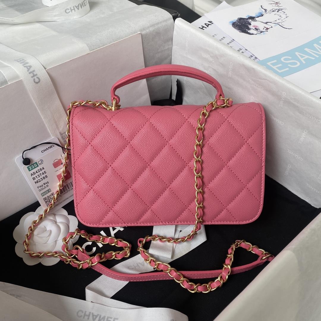 Chanel  Organ Bag AS4284 is Another Day to Pay for BeautyActually I didnt see too many p